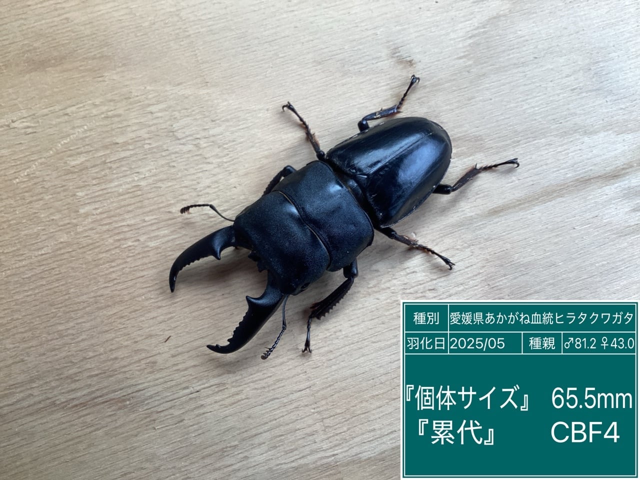 eb13b8c17d36e48096d0c932785a06