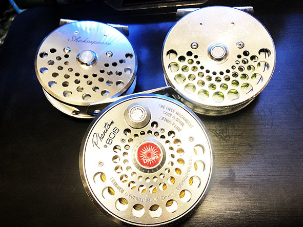 サセックスとシェイクスピア！？模倣品と本物？ | ただ、キャンプと