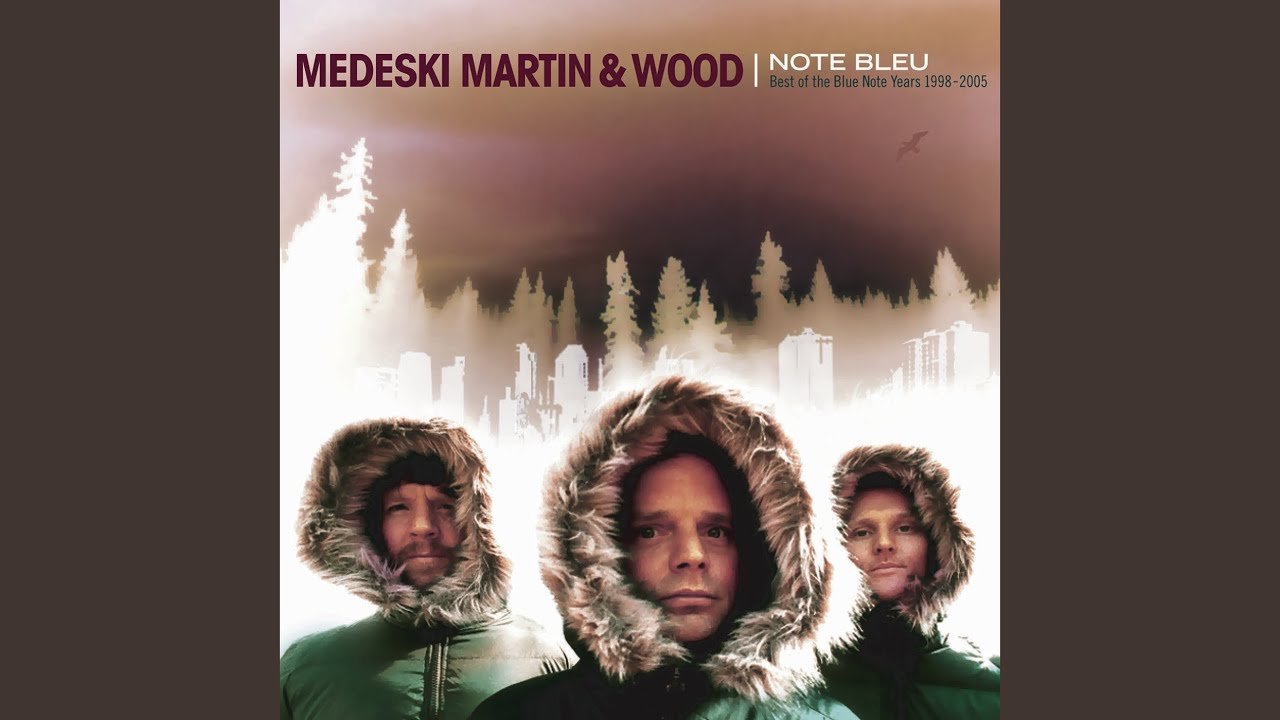 Revisiting Selected Medeski Martin & Wood Recordings Of The Past