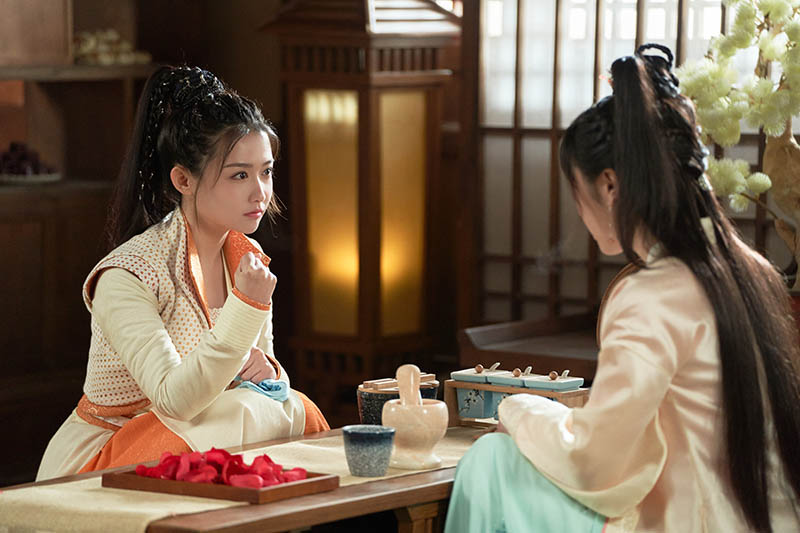 中国ドラマ「ロマンスは椿の花のように」 | 中国・アジアドラマ | BS