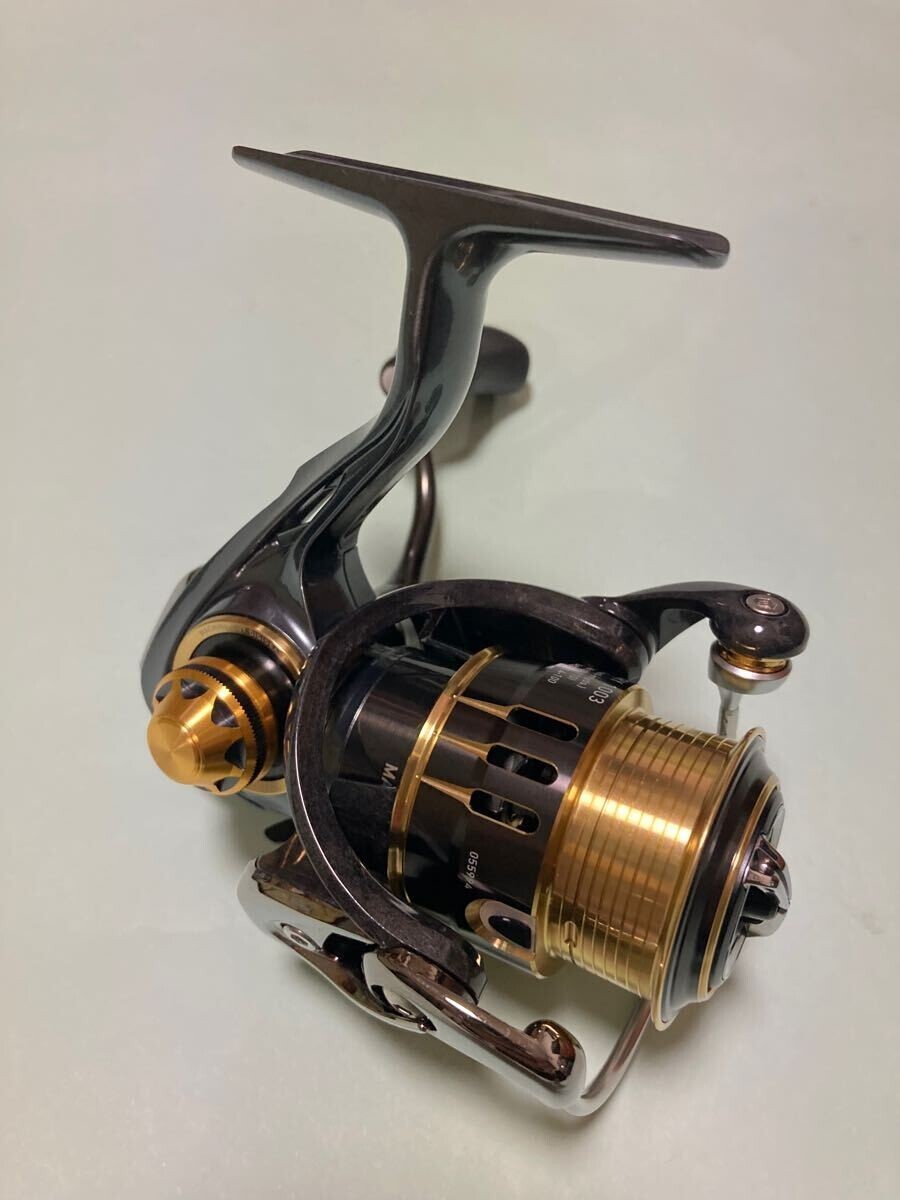 Daiwa 17 Theory 1003 Spinning Fishing Reel | eBay