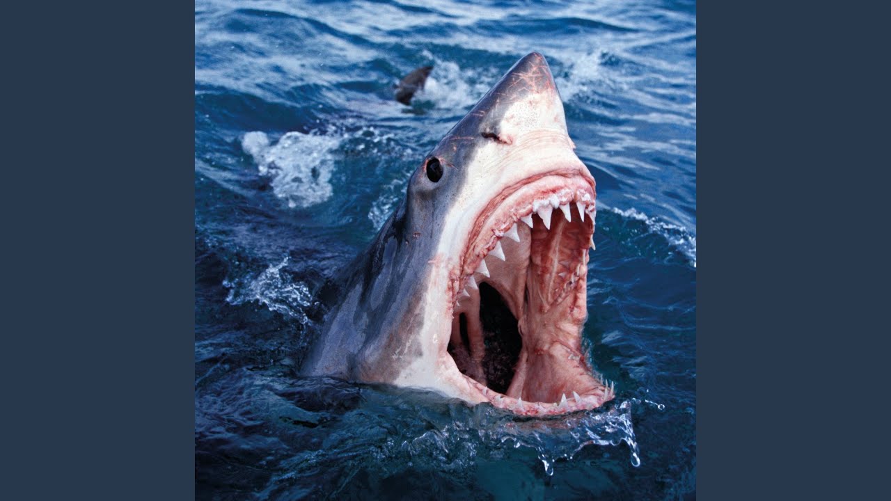 Conway the Machine x The Alchemist - Lulu (Full EP) - YouTube