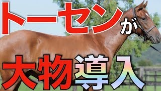 実績は最強】エスティファームがまさかの種牡馬導入！クールモアの最高