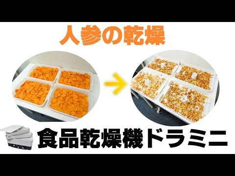 乾燥人参］フードドライヤーで人参3.7kgを乾燥（ドラミニ） - YouTube