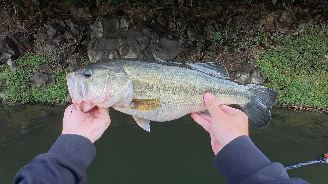 シマノ18NEW バンタムMGL PG購入＆レビュー［SHIMANO BANTAM MGL