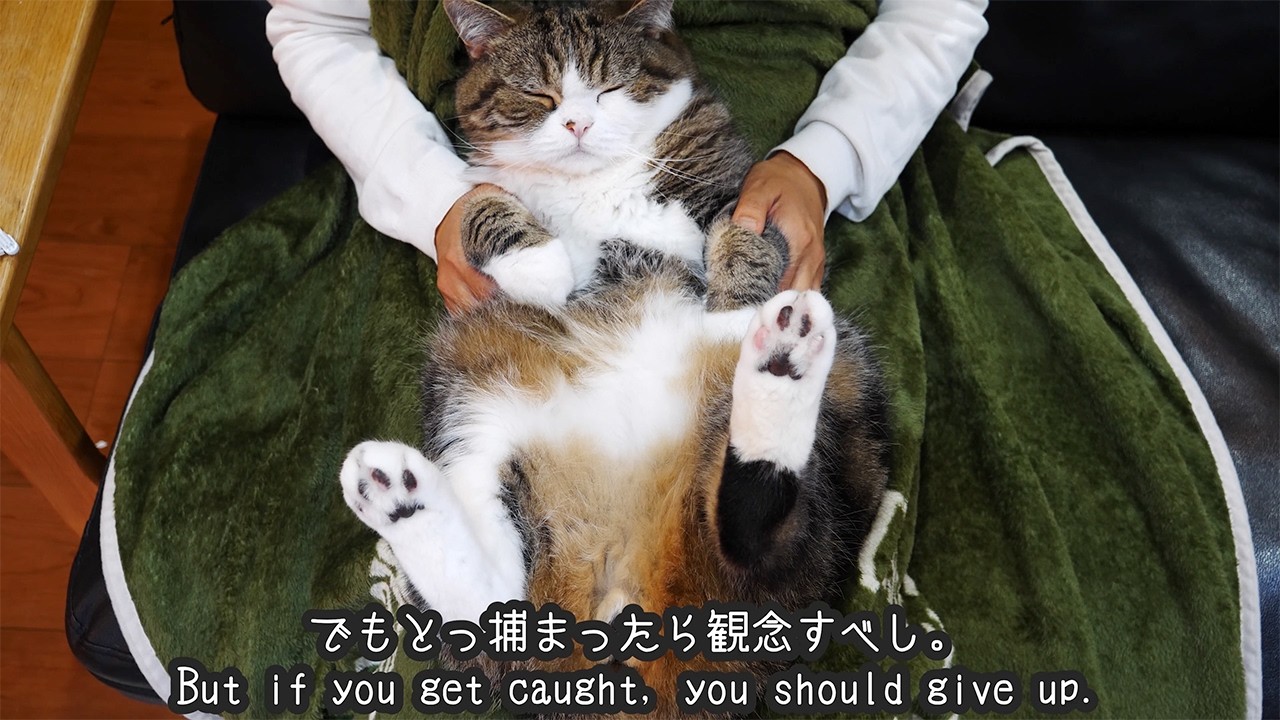 まるです。 - YouTube