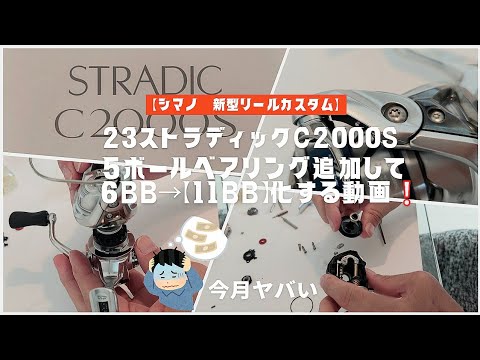 23ストラディックC2000Sに5ボールベアリング追加して6BB→【11BB化