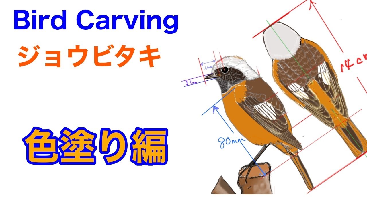 バードカービング（Birdcarving）ジョウビタキ5（色塗り編）ありむら
