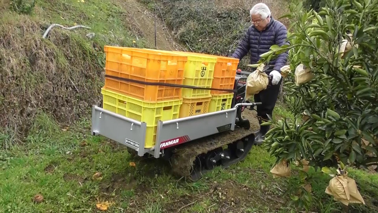 ヤンマーミニクローラ運搬車MC95A,V みかん運搬の様子 - YouTube