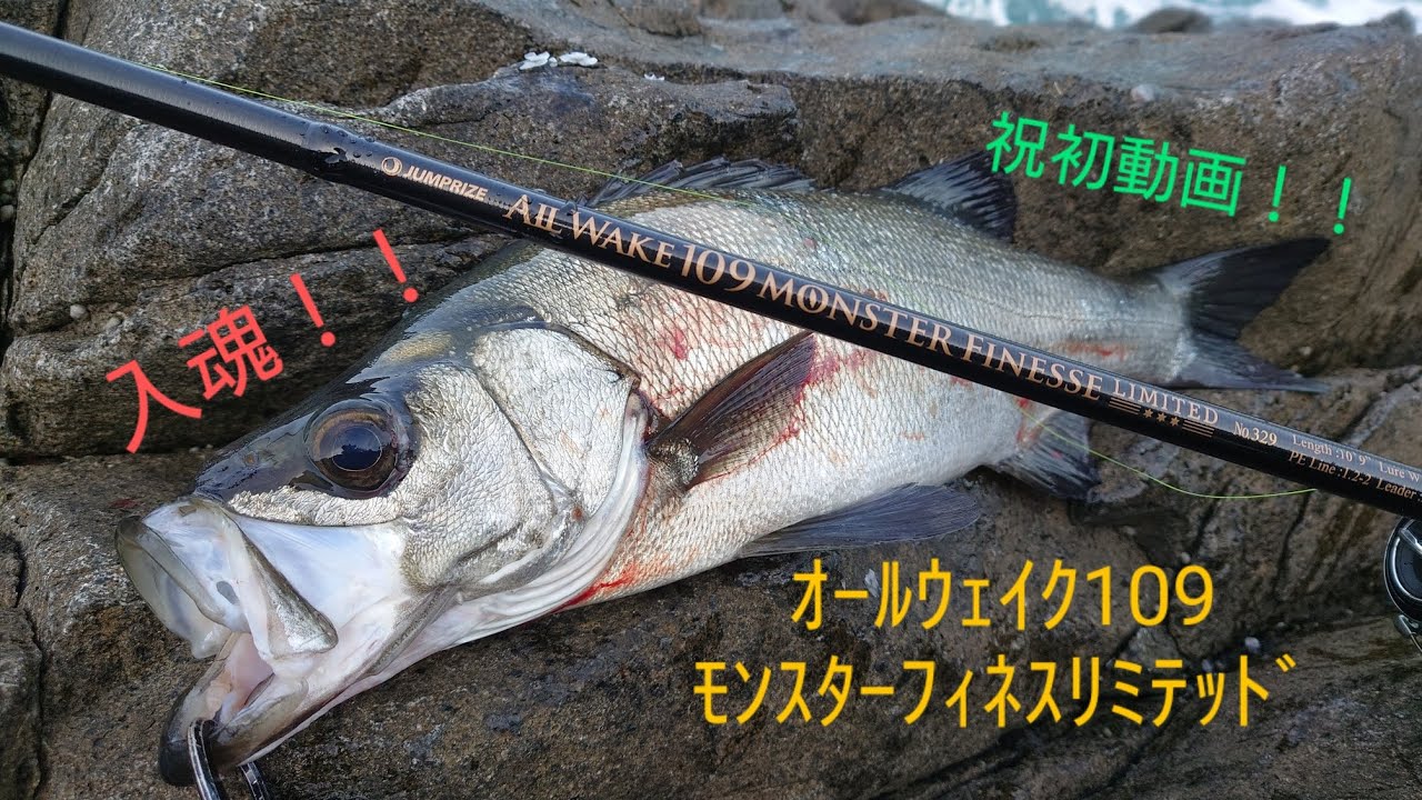 ロックショア】オールウェイク109モンスターフィネスリミテッド入魂