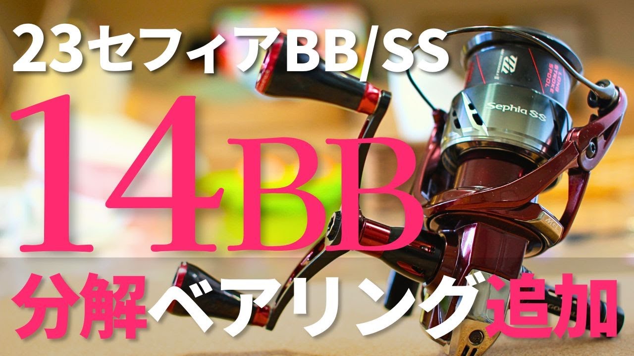 23セフィアSS c3000 / BB ベアリング7つ追加！エギング最強リール