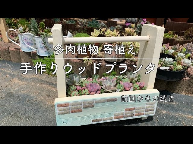 多肉】#80 DIY② 手作りウッドプランターに多肉植物を寄植えしていき