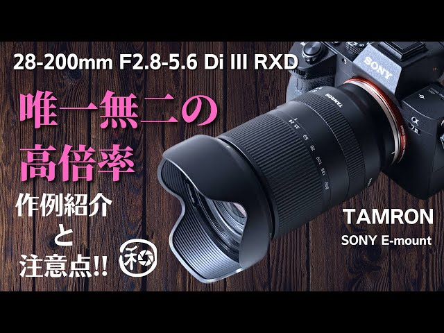 TAMRON 28-200mm F/2.8-5.6 Di III RXD唯一無二の高倍率ズームを作例も