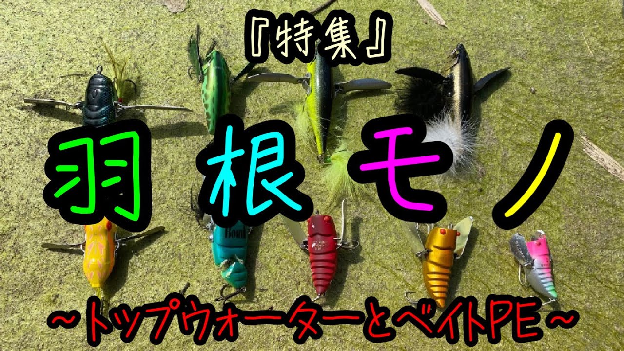 ウイングダックスくんって実際どうなの？羽根モノマニアが徹底レビュー