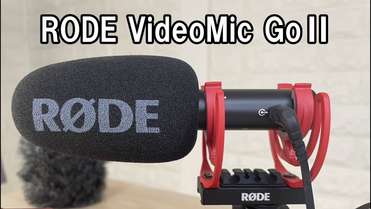 NEEWER NW-81】安いショットガンマイクは使えるのか？【MicchiVlog/535