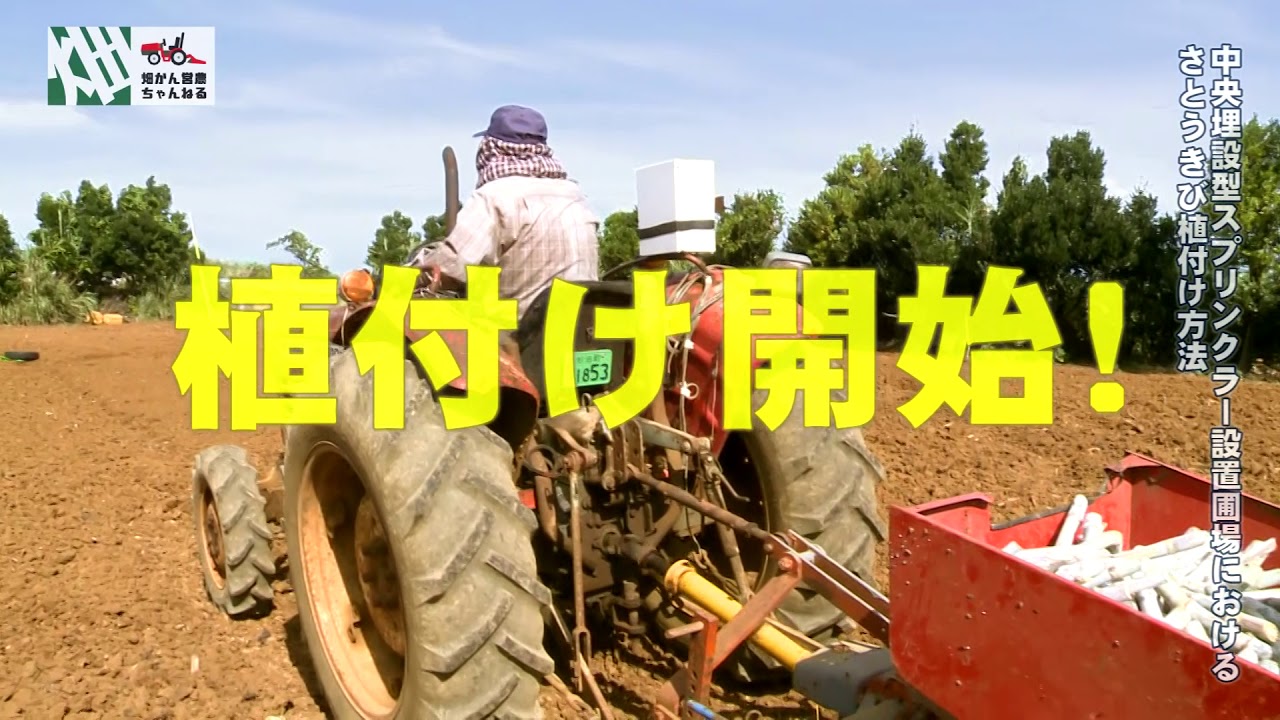 No 2 畑かん営農ちゃんねる（埋設型散水器具設置ほ場サトウキビ植付