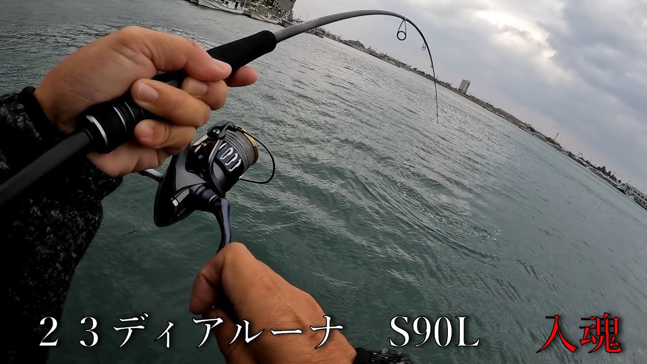 アリ!?ナシ!?】ディアルーナーによる23ディアルーナS90L開封【カーボン