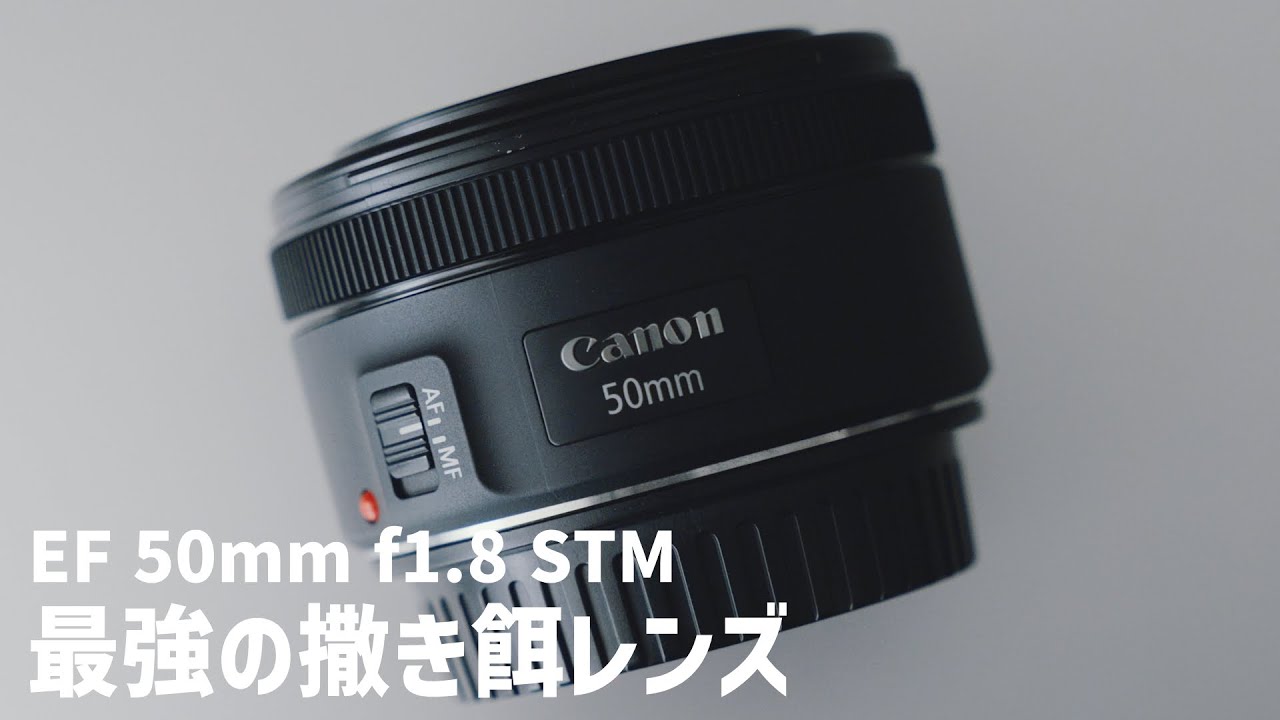 撒き餌レンズの王】EF 50mm F1.8 STMを使ってみた - YouTube