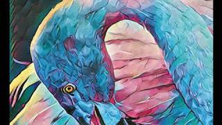 2017 Christopher Cross – Take Me As I Am | Sessiondays