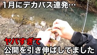 Shocking] We're revealing a crazy fishing method that allows you