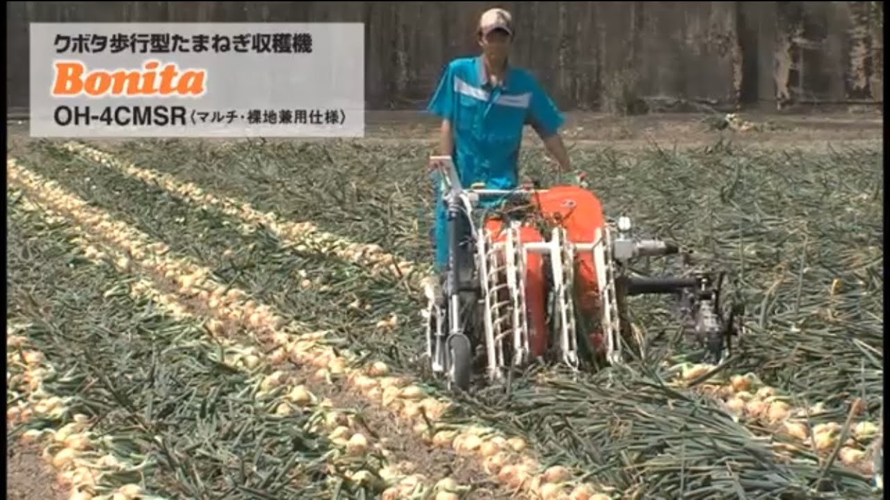 クボタたまねぎ収穫機ボニータ OH-4C - YouTube