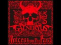 Galneryus – Voices From The Past – CD (EP, Limited Edition) + DVD