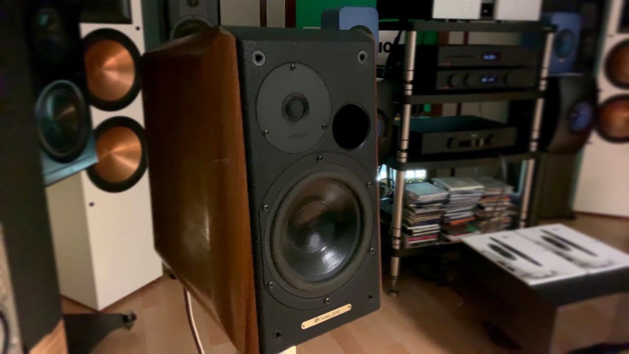 VINTAGE Sonus faber CONCERTO Speakers. Delicious! - YouTube