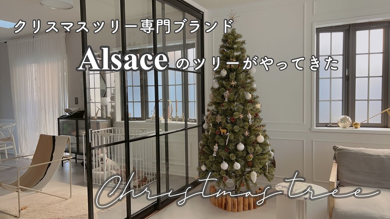 Official】Alsace® Alsace Tree 2025 Assembly Guide (210cm) - YouTube