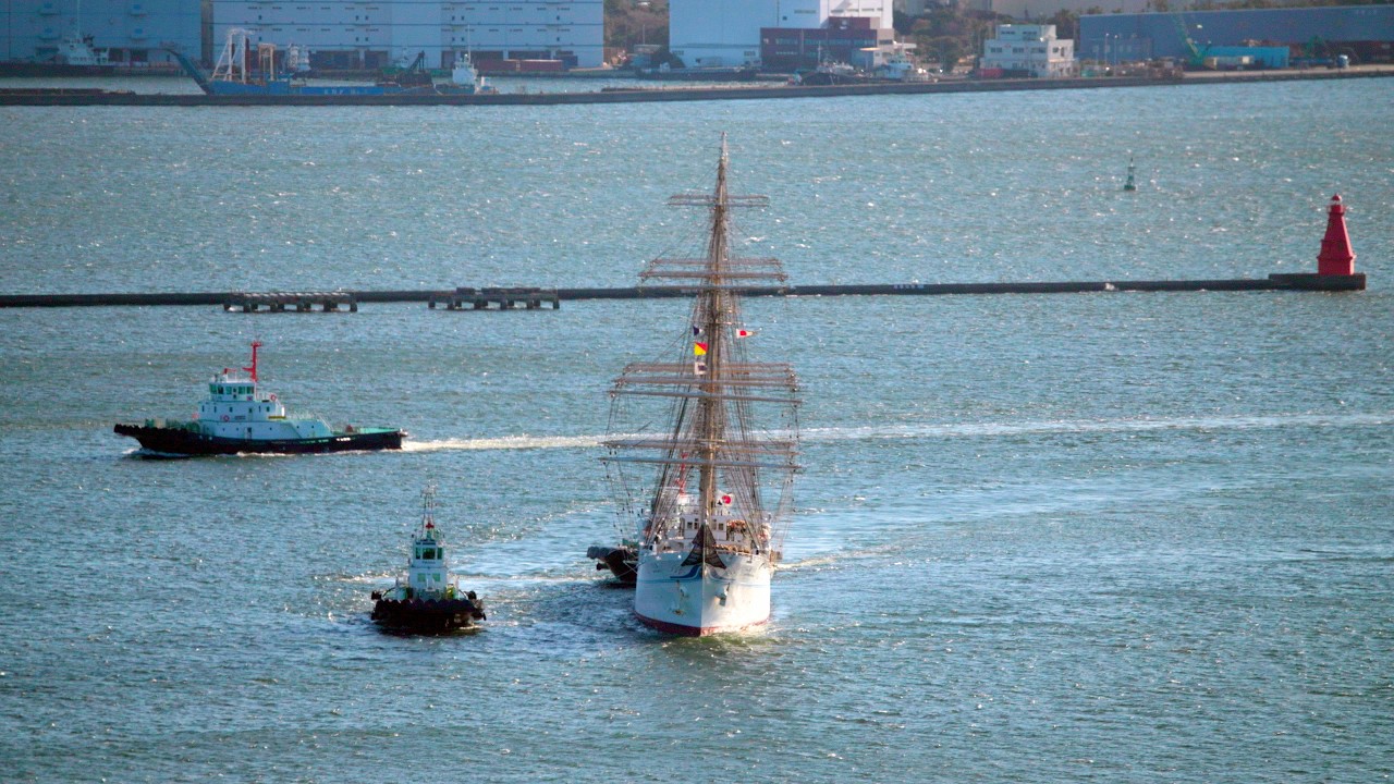 海王丸 - Kaiwo Maru - 入港・着岸（新港ふ頭・5号岸壁） [4K](2026年