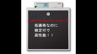 8-1959-01 デジタルフラットスケール［検定付］4級 seca 877 【AXEL