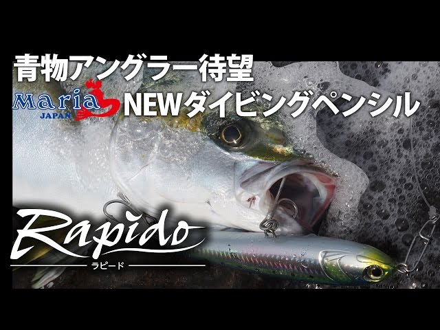 青物/マグロ】アクション自由自在！ダイビングペンシルベイト