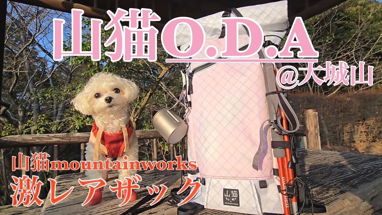 Comfortable and Fitting Sleeping Experience] Ogawa Aluminum GI Bed