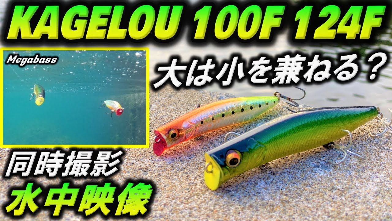 水中映像】人気 シーバス ルアー カゲロウ 124F と100Fの同時