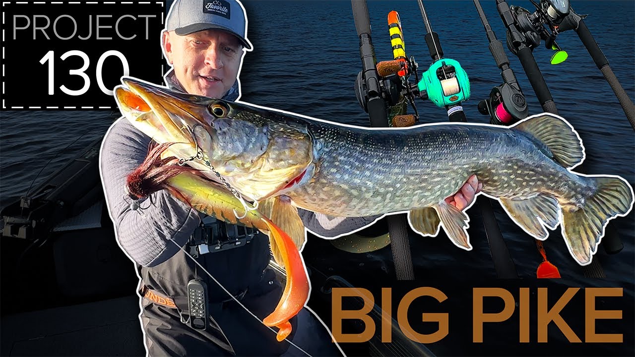 FEW 20lb+ BIG PIKE & UNBOXING Favorite Black Swan Pike Rods on my