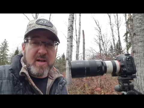 Kenko Teleplus Pro 300 3X Teleconverter Review - YouTube