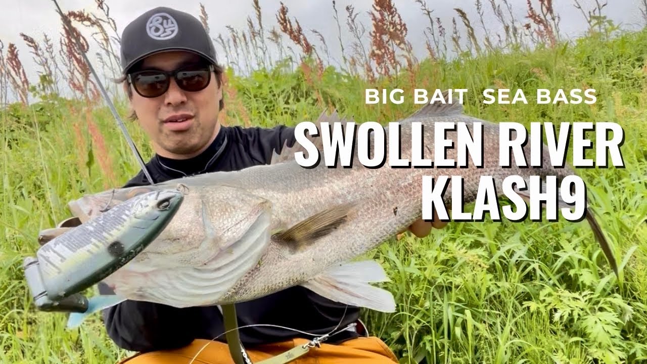 鹿児島の増水河川を攻める！【ビッグベイト】 - YouTube