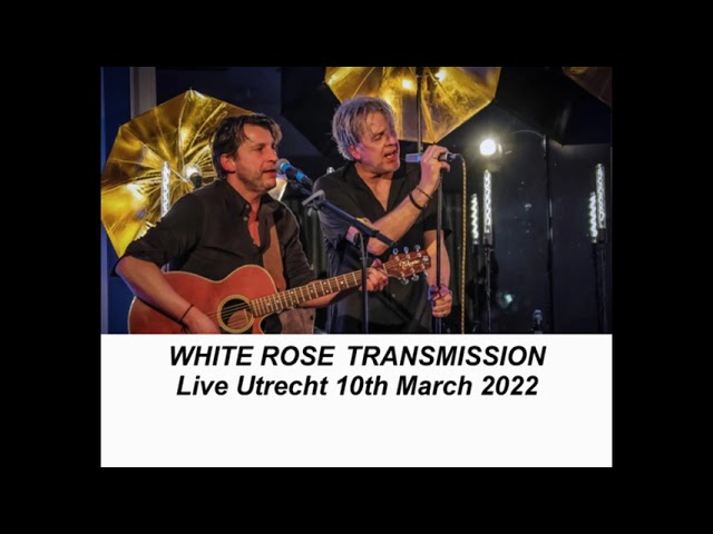 The Walkabouts - Setting The Woods On Fire 1994 Full Vinyl 2LP