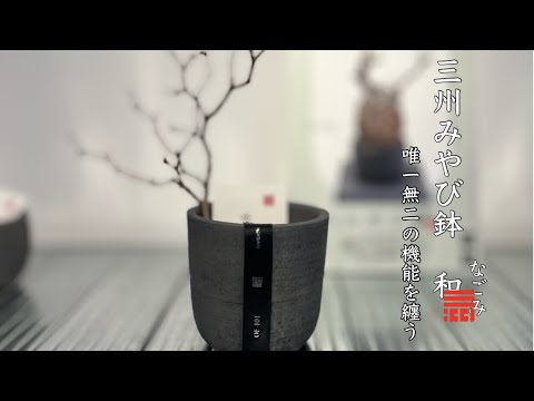BOTANICAL GALLERY Vol.4 本当の三州みやび鉢について - YouTube