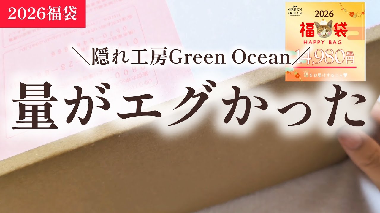 レジン福袋】即完売。2026年隠れ工房Green Ocean福袋開封 - YouTube