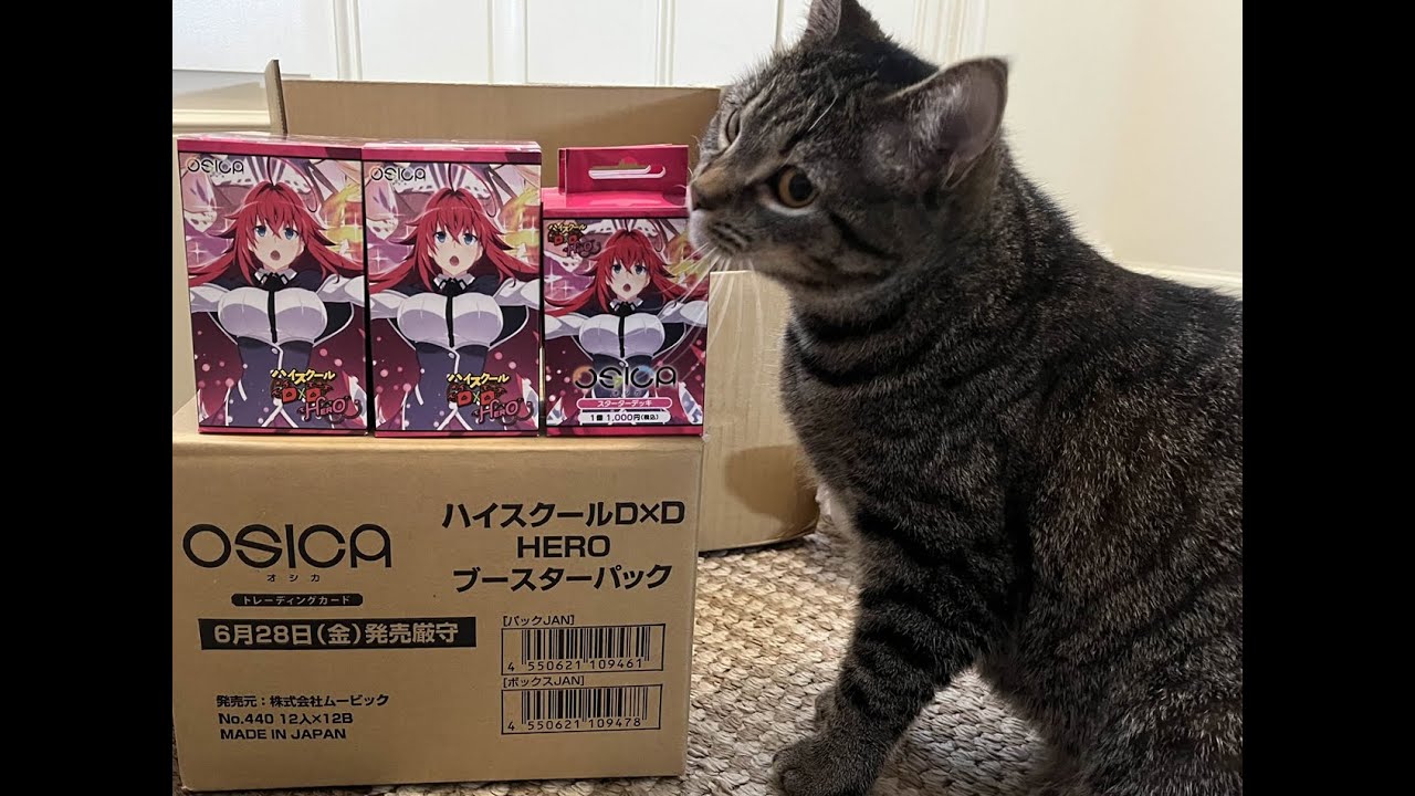 My Wife Opens OSICA TCG High School DxD Hero Booster Box & Starter