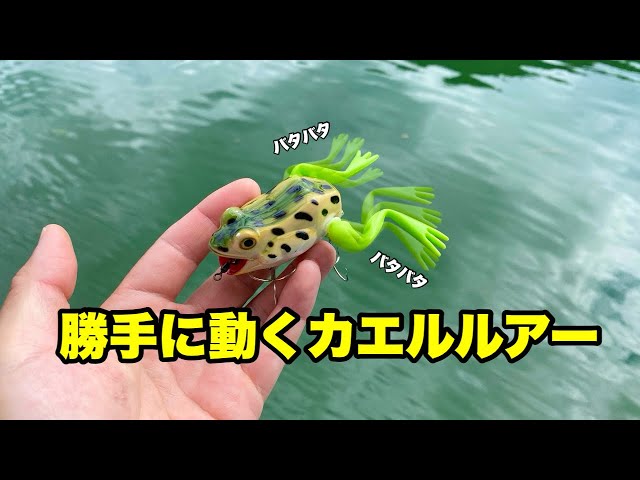 I threw a lure that swims on its own into a vast lake - YouTube