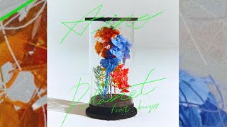 アート・デザイン・音楽 AILA Rinko Kawauchi LITTLE MORE AILA Rinko