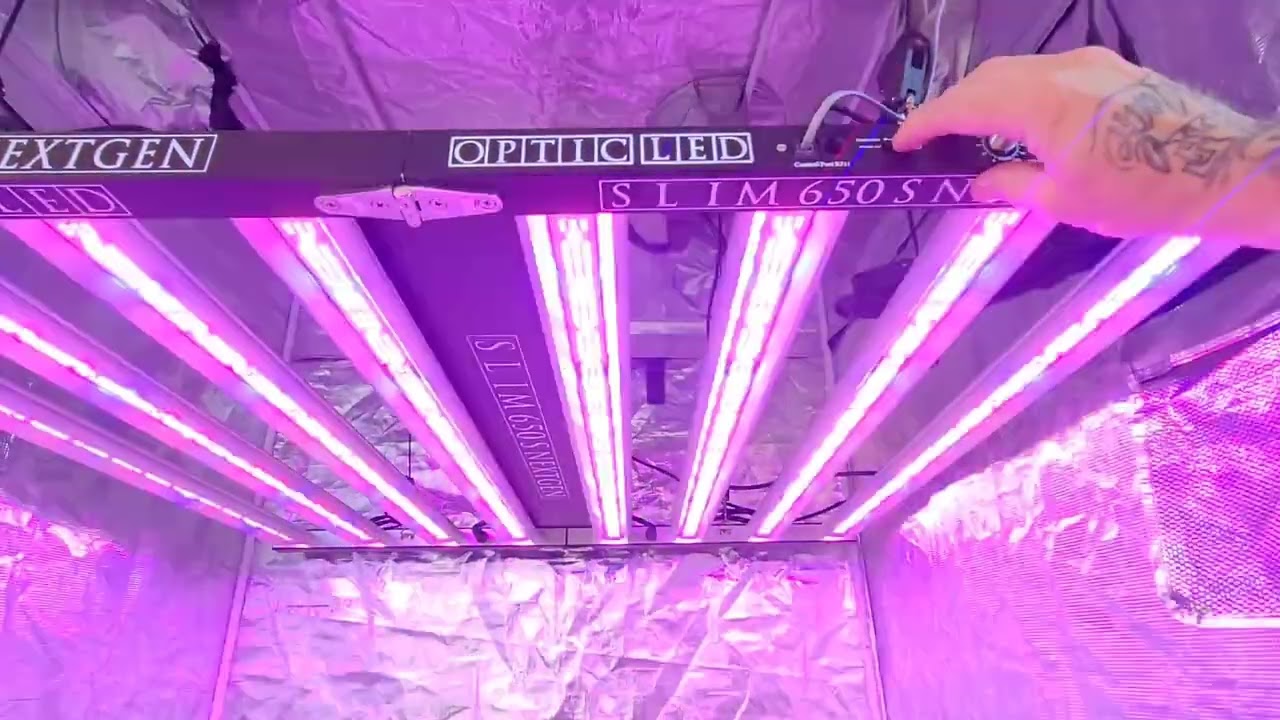 Slim 650S NextGen - PAR Meter Test at 48