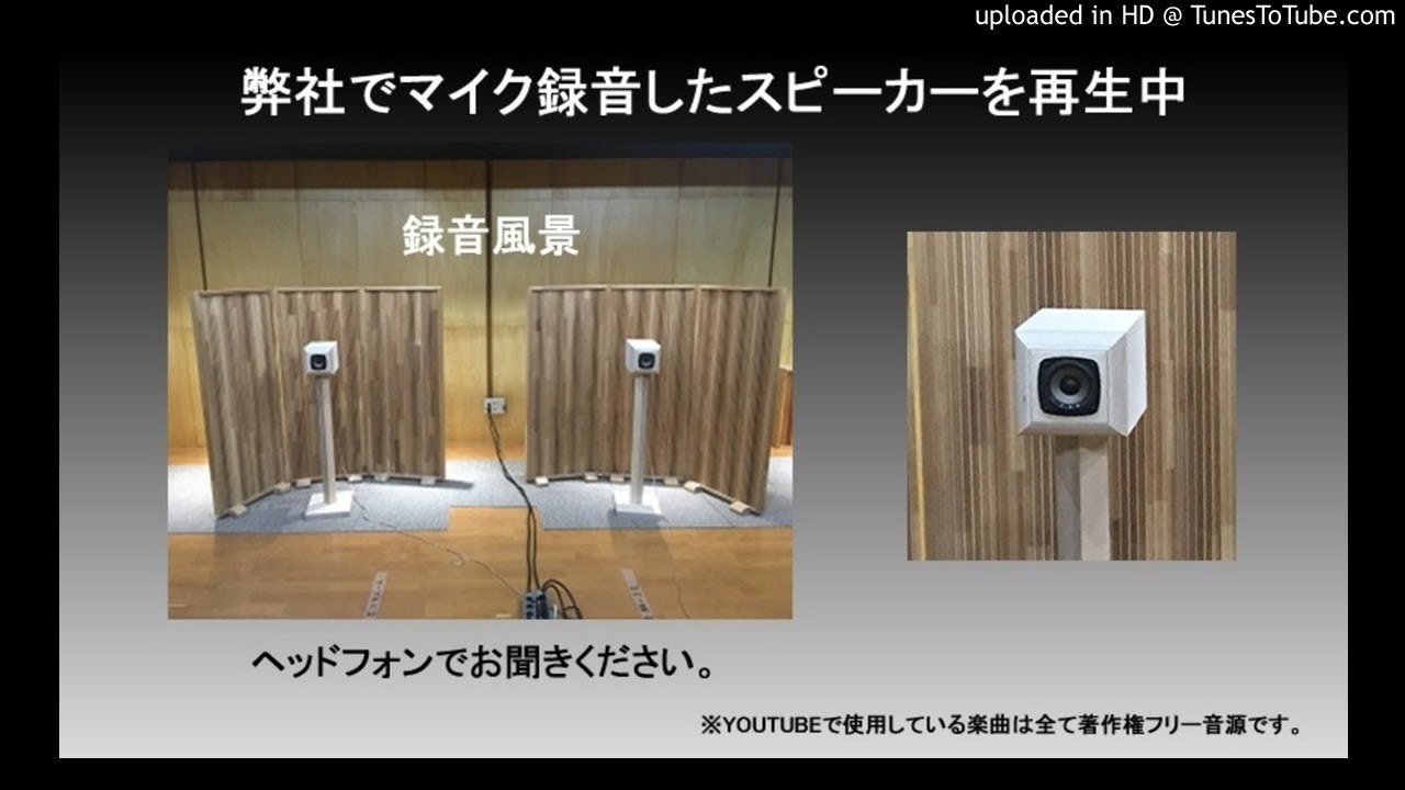 点音】Z600-Modena | 音工房Z