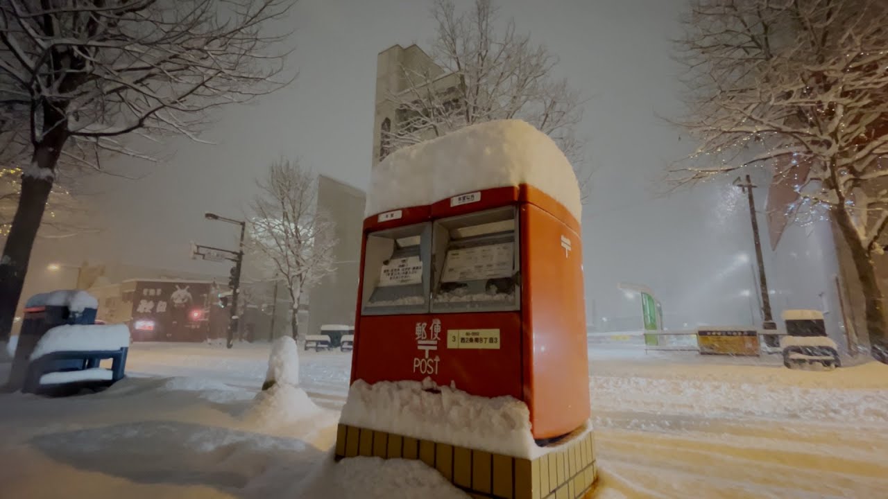 大樹32センチ 帯広30センチ 午後8時までの降雪量 | 十勝毎日新聞