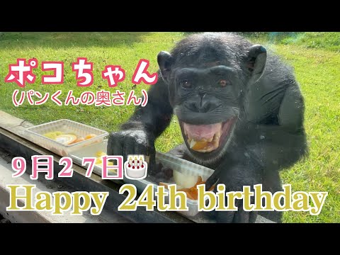 パンくん宮沢さんTV - YouTube