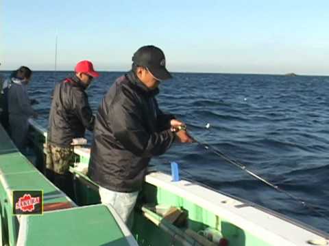 サクラ ホソ・カル・ピン金剛激かわはぎ竿-テクニック - YouTube