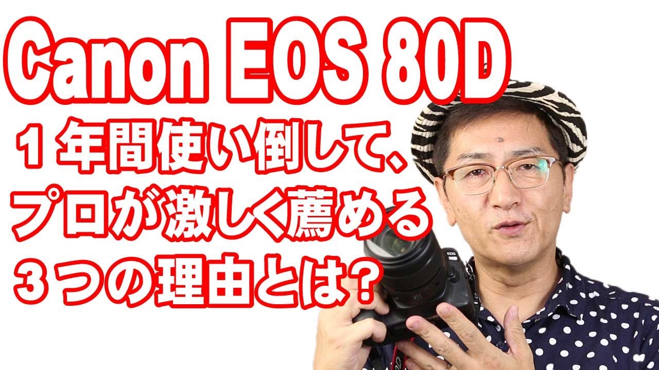 1年間80Dを使い倒してきて、プロが激しくお薦めする3つの理由とは