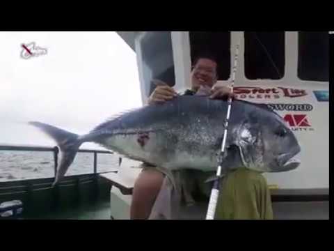 無限ピュア船 Purple Edition - gokuspe