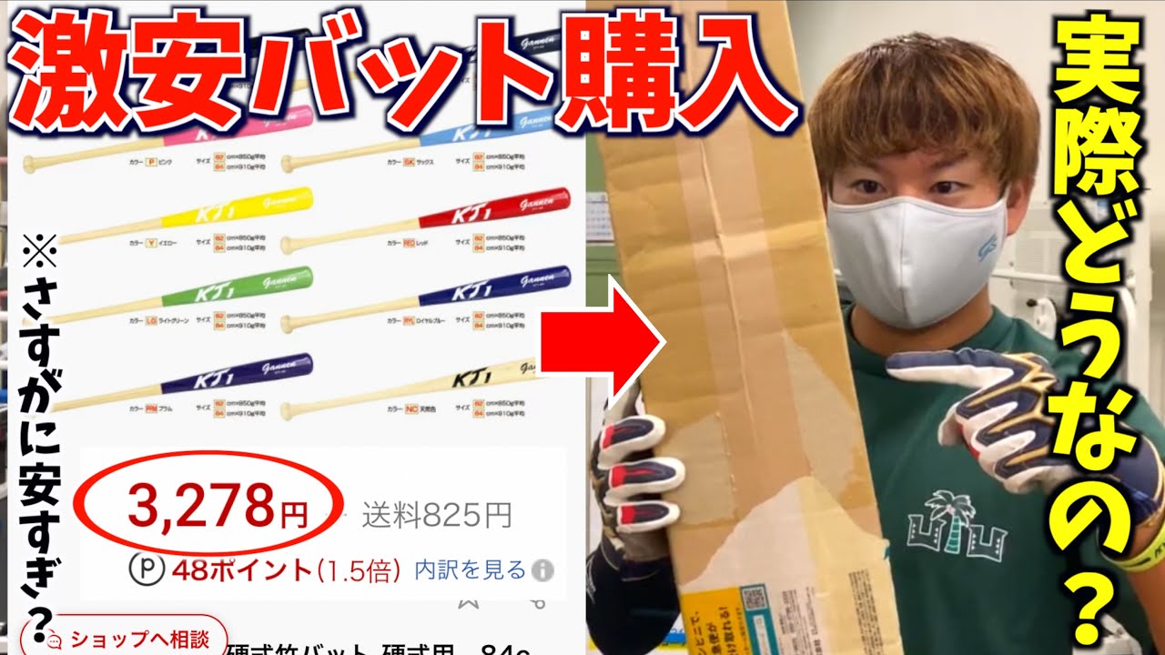 Why this price? I bought a hard wooden bat that was on sale for a